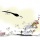 Hamad.Algayeb@alwasatnews.com