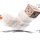 Hamad.Algayeb@alwasatnews.com