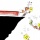 Hamad.Algayeb@alwasatnews.com