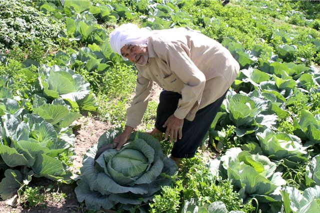 سيارات للبيع في البحرين