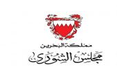 وفد الشعبة البرلمانية يشارك في المؤتمر الدولي للبرلمانيين الشباب بطوكيو