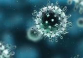 ارتفاع حصيلة فيروس كورونا في كوريا الجنوبية الى 27 حالة وفاة