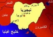 قوات نيجيرية تعتقل 