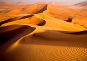 الجزيرة العربية كانت جنة خضراء من الغابات