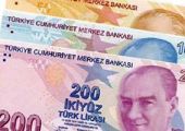 الليرة التركية تهوي إلى مستويات قياسية منخفضة جديدة أمام الدولار