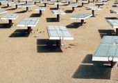 «شل»: السعودية قادرة أن تكون قوة عالمية في الطاقة الشمسية