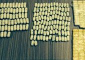 ضبط 700 جرام هيروين داخل امعاء مهرب في مطار روسي