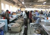 الأسماك تصمُد أمام رفع الدعم عن اللحوم... والباعة: حركة السوق طبيعية والأسعار مستقرة