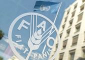فاو: ارتفاع أسعار الغذاء العالمية في سبتمبر