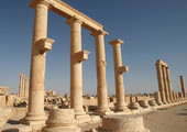 تنظيم 