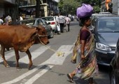 سحب فيلم وثائقي عن تناول لحم البقر من مهرجان سينمائي في الهند