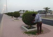 بلدية 