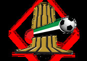 الشارقة يتفوق على الوصل بالدوري الإماراتي