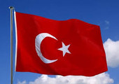 تركيا تخفض استهلاك الغاز في بعض محطات الكهرباء