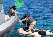 حرس الحدود السعودي يحبط تهريب 260 كيلو جراما من الحشيش