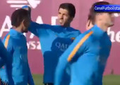 بالفيديو... 