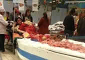 عروس البحر على طاولة الأسماك في تونس!