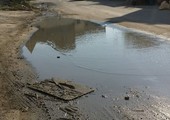 شاهد الصور... استمرار فيضان مياه الصرف الصحي بمجمع 1033 بالمالكية