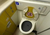 الهند... نجاة امرأة من الموت بعد سقوط فضلات مجمدة من طائرة عليها