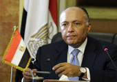 مصر تدافع عن الغارات الجوية الروسية في سورية