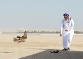 غداً انطلاق منافسات الأسبوع الثاني على كأس فيصل بن راشد