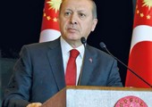 جهود عربية لإنجاز مصالحة تركية – مصرية