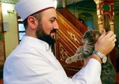 مسجد يفتح أبوابه لإيواء القطط من البرد