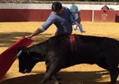 إسباني يصارع الثيران وهو يحمل طفلته الرضيعة