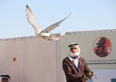 الصقار المري بطلا للجيرات الفئة الأولى... والهاجري للفئة الثانية