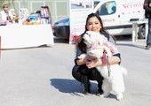 شاهد الصور...محبو الكلاب يشاركون في مهرجان المشي مع الكلاب بعسكر