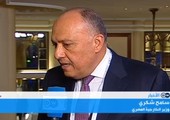 وزير الخارجية المصري رداً على مقترح إرسال قوات برية إلى سورية: الحلول السياسية هي الأمثل