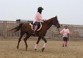 على صوت صهيل الخيل... رحاب عيسى مدربة فروسية بحرينية