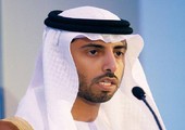 وزير الطاقة الإماراتي: دول 