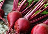 الشمندر.. أهم المصادر الغذائية لمكافحة الأمراض