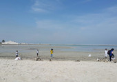 بالصور... متطوعون يطلقون حملة لتنظيف ساحل كرباباد