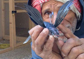 بالصور... البحار بوحميد يصطاد سمكة الطائر 