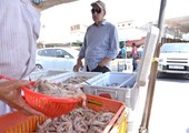 الكويت تقترح توحيد فترة حظر صيد الروبيان مع البحرين والسعودية    