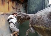 شاهد الصور... مدينة تايلندية تعيد الحياة لـ200 ديناصور
