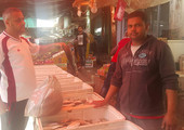 بالصور.. أسعار الأسماك مستقرة  بالأسواق المحلية