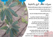 انفوجرافيك 