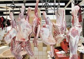 الحكومة بدأت اليوم بصرف علاوة اللحوم
