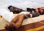 وفاة 21 شخصاً إثر تفشي الحمى الصفراء في الكونغو