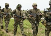 الجيش النيجيري يصد هجوماً لـ«بوكو حرام» قرب النيجر