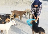  الناشطة البستكي: رصدنا عدة حالات تعذيب وقتل بوحشية للكلاب في سترة 