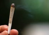 توقيف أصغر مروج سعودي للحشيش عمره 11 عاماً
