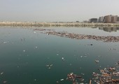 بالصور... مواطنون يرصدون أكواماً من النفايات والأوساخ بساحل الحد