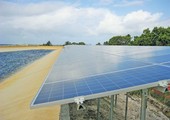 دول في المحيط الهادئ تستفيد من مشاريع إماراتية لإنتاج «طاقة نظيفة»