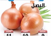 تعرف على موسم زراعة البصل في البحرين