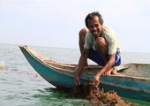 اختفاء أنواع من الأسماك في الفيليبين بسبب الإفراط في الصيد 
