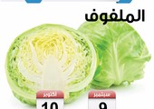 تعرف على موسم زراعة الملفوف في البحرين  